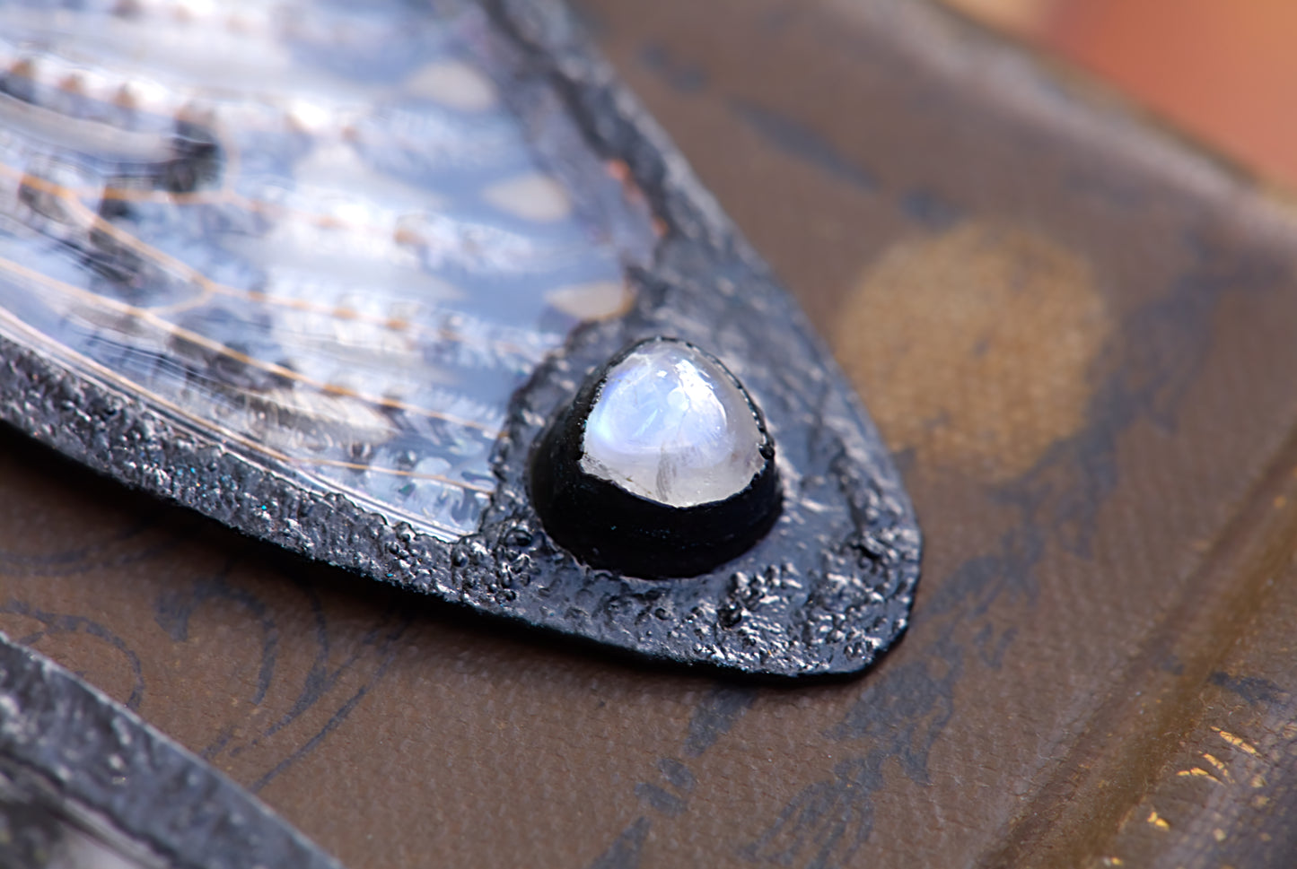 Cicada wing earrings