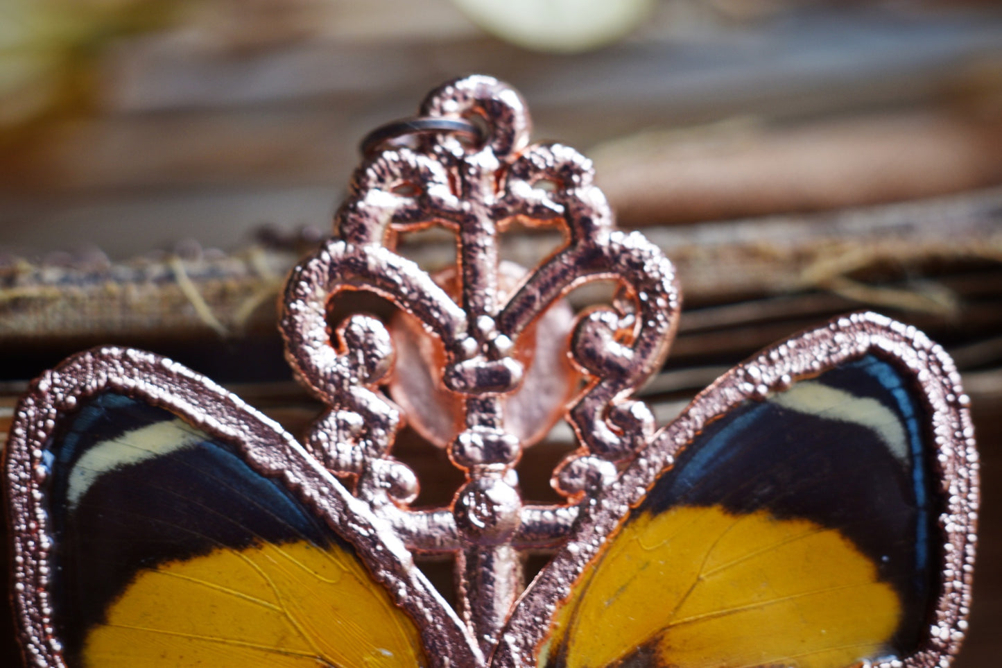 Real butterfly wing necklace