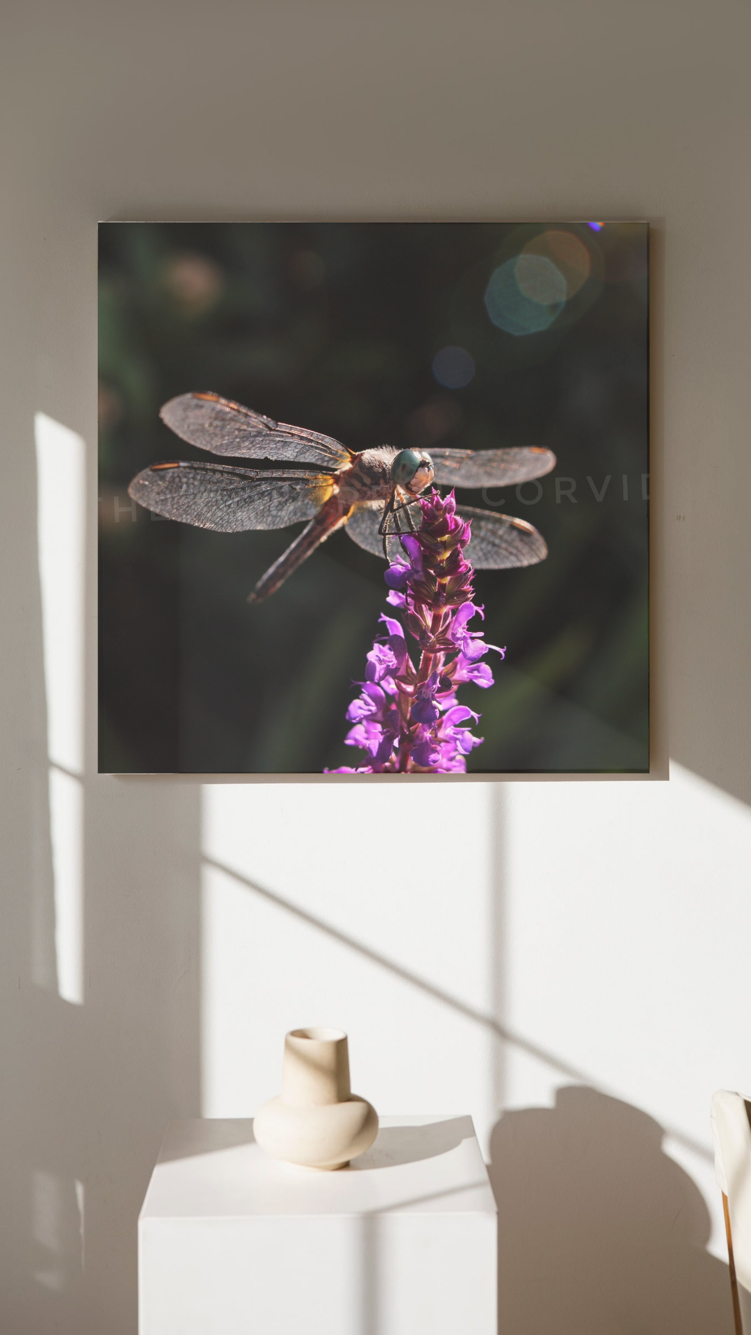 Dragonfly giclee art print