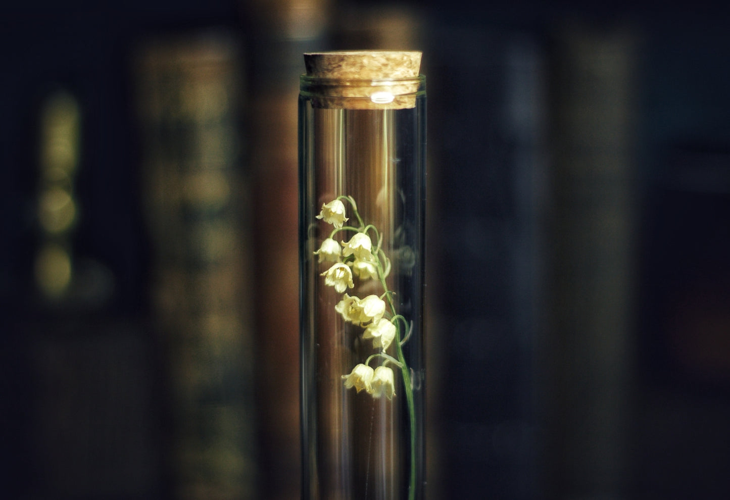 Lily of the valley decor jar