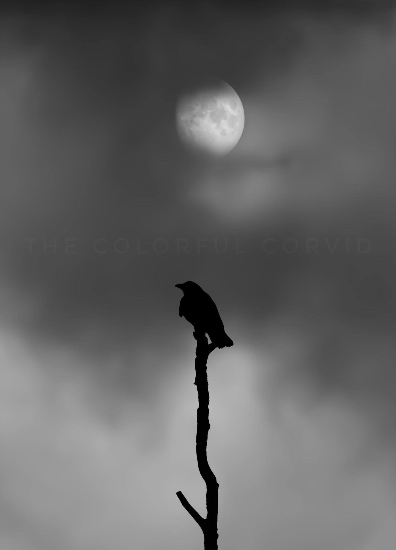Giclee grey crow and moon