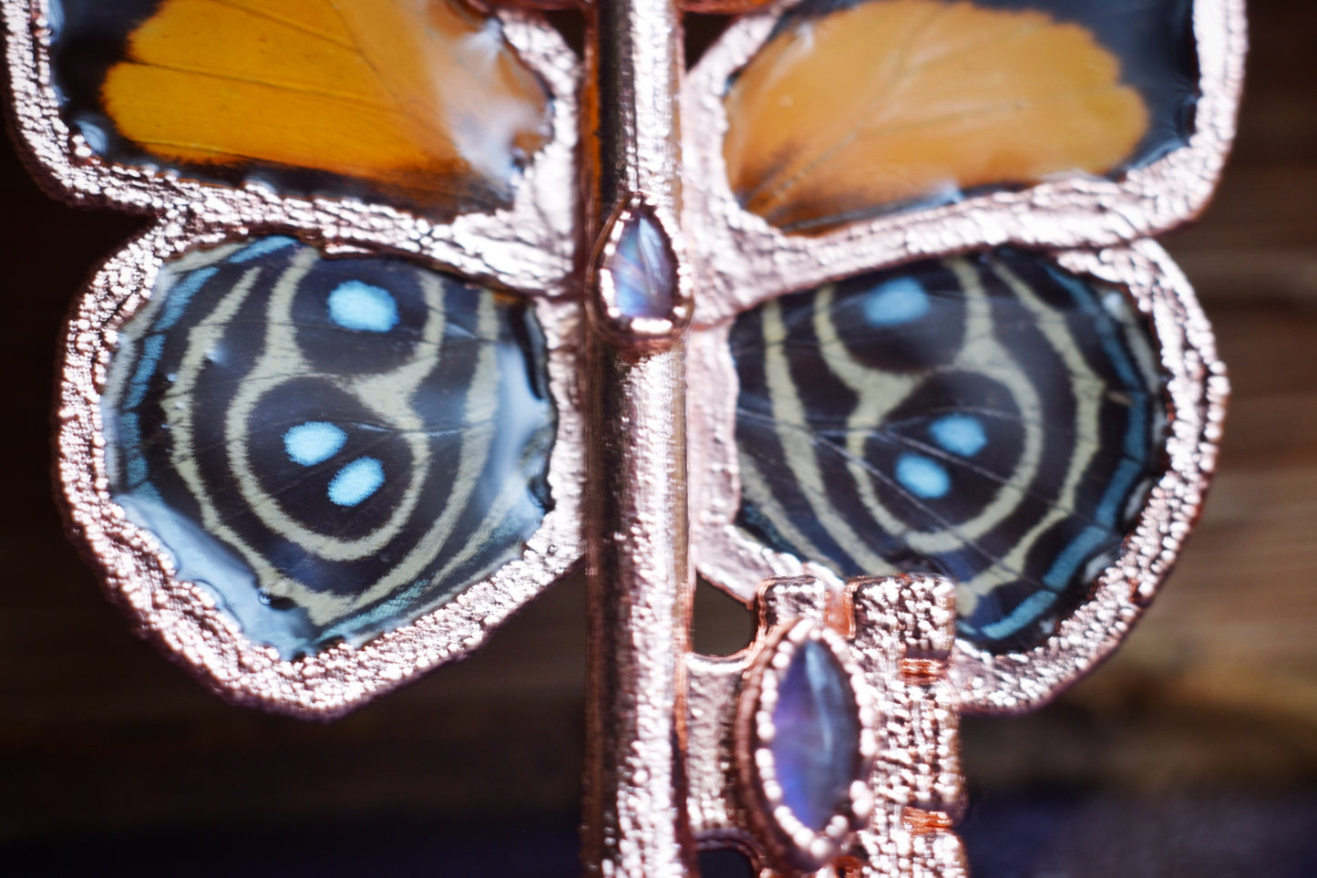 Real butterfly wing necklace