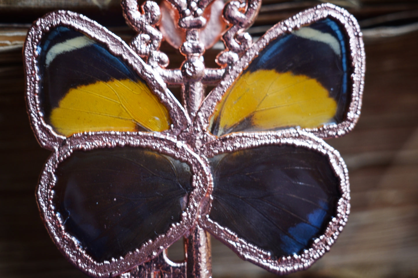 Real butterfly wing necklace