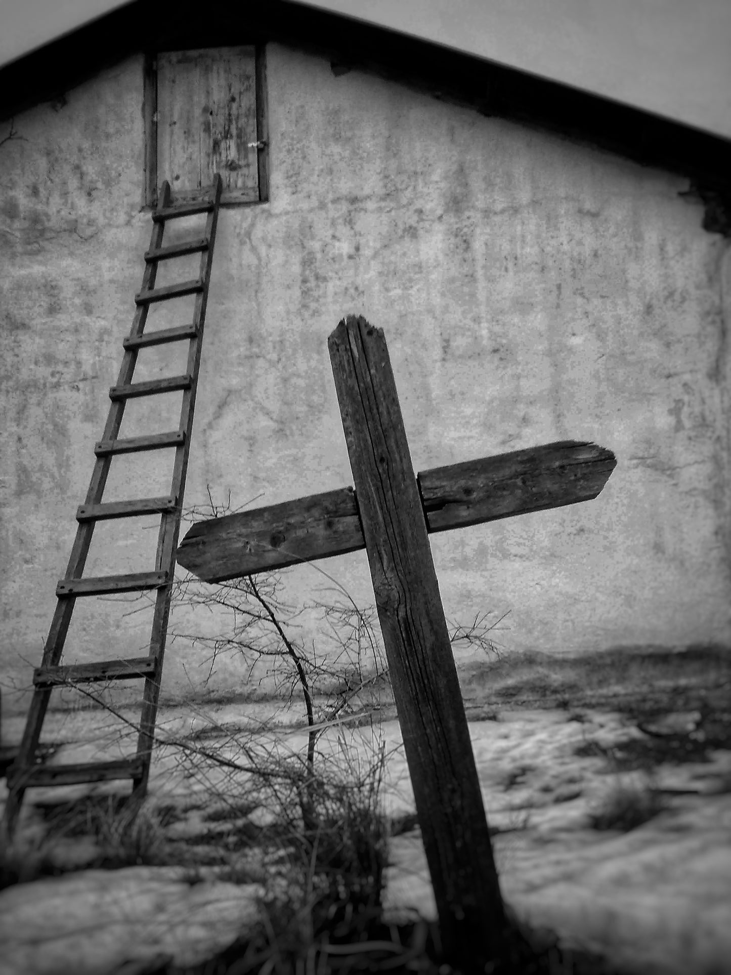 "Ladder to success" photo print