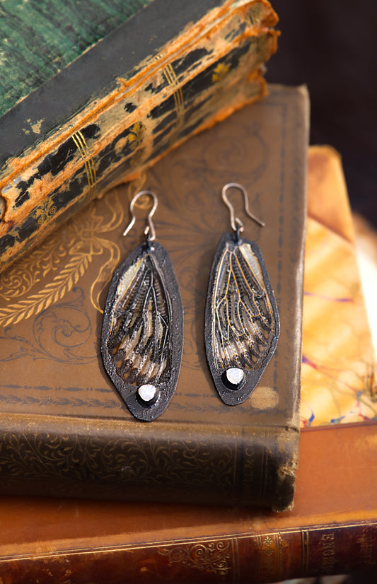 Cicada wing earrings