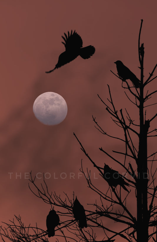 Crows & moon art print